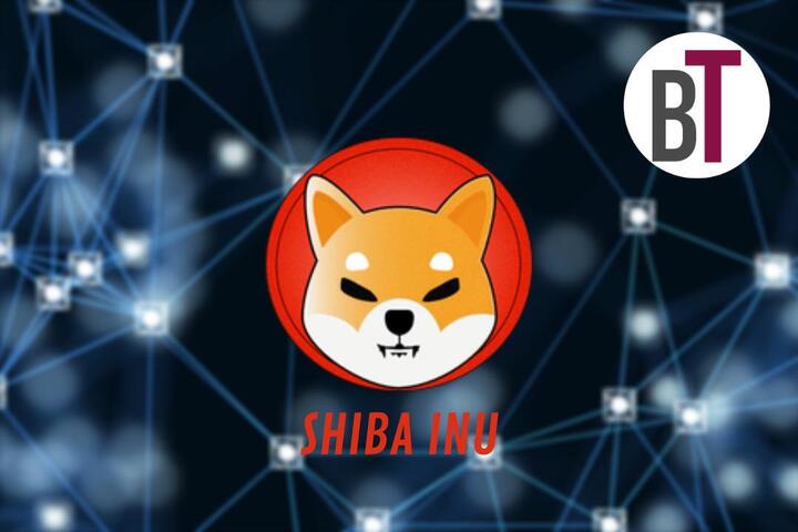 avis shiba inu 720 BourseTrading.Info